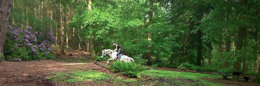 Action shot on Nesscliffe Hill